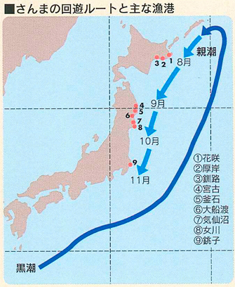 知って得するさんま学 全国さんま棒受網漁業協同組合