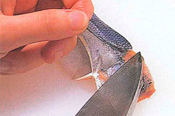 刺身２