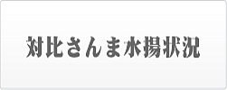 対比さんま水揚状況
