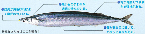 どこで見分ける?